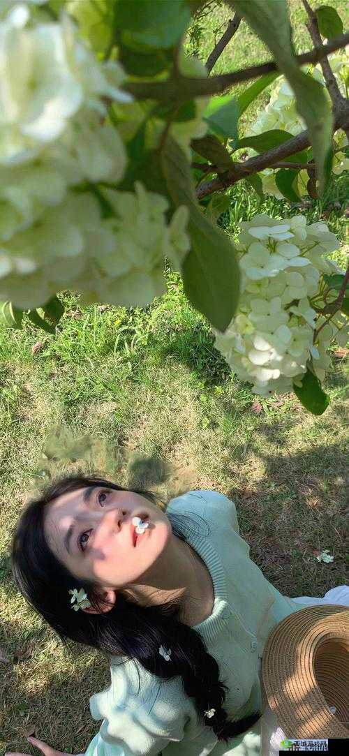 探秘欧美 MV 日韩 MV 最火的一句:揭秘这些视频的魔力之源