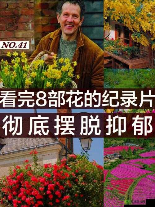 花花世界免费看电影但要注意版权问题不可随意传播