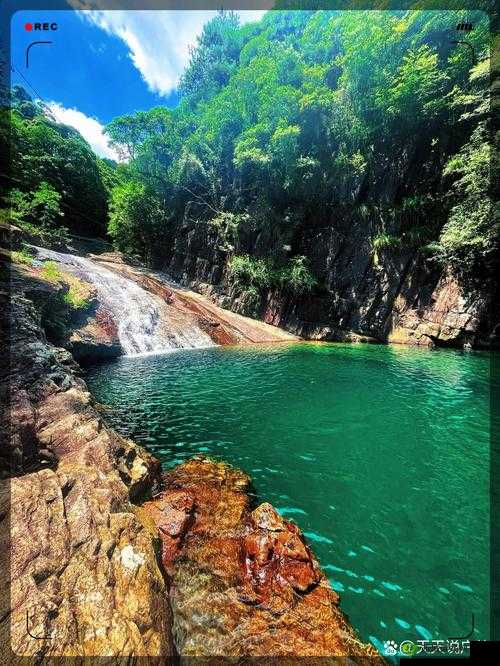 爹爹黄龙直捣溪水潺潺：一幅神秘而壮观的自然画卷