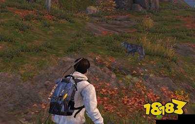 探秘明日之后,机械师与采集者的职业魅力与实力对比