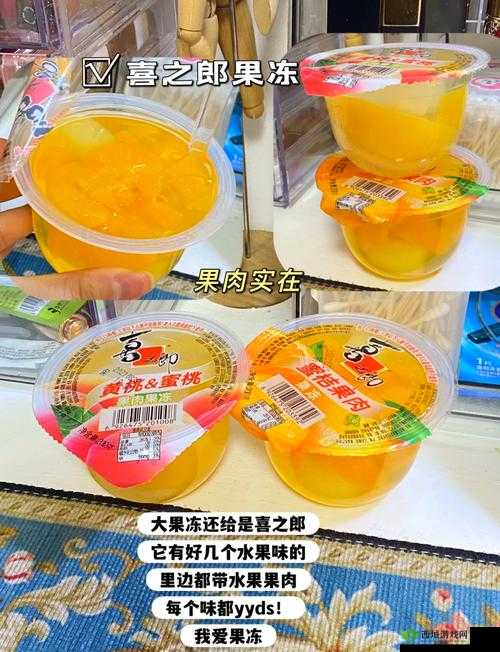 9I 果冻制作厂:打造美味与品质的典范