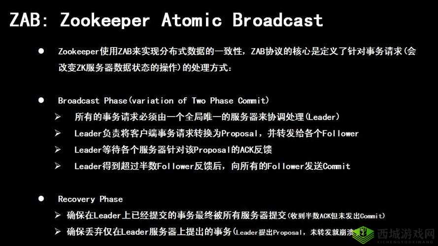 Zoom 美国 Zookeeper 是否打得开:现状探究