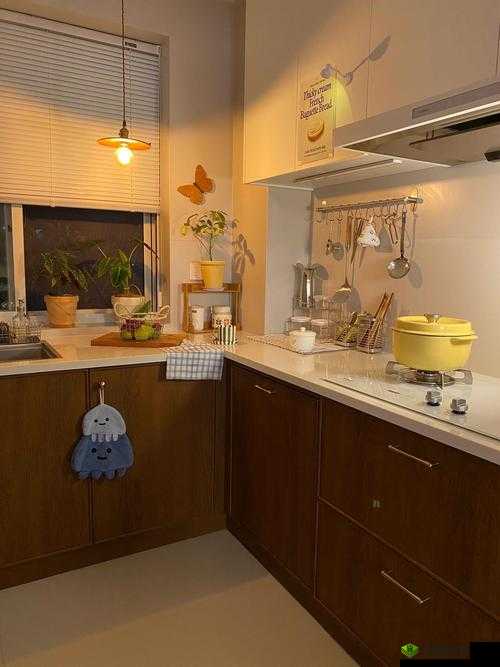 厨房：一次又一次索要刷碗总账单