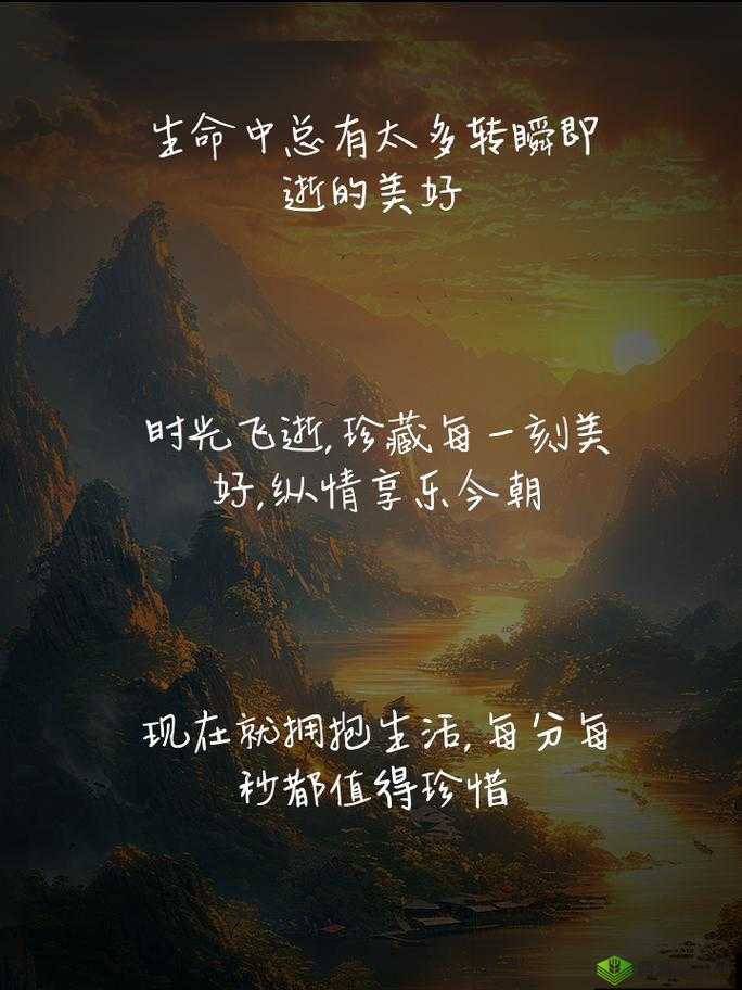 轻松享受两种美好时光:沉浸在温馨与欢乐的时刻