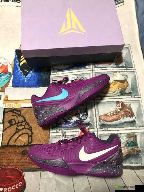 Zoom 与人性 Zoom2 区别新一代:探索未来沟通的无限可能