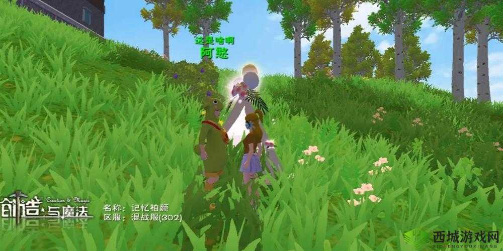 美食与奇幻的融合,探索创造与魔法中的羊排汤艺术