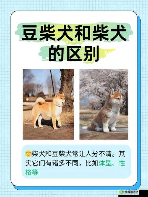 国产一区二区区别：探究其在不同方面的具体表现与差异