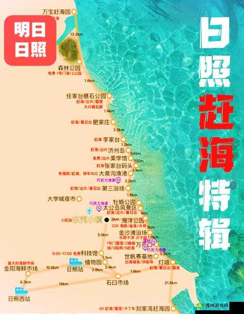 现在在哪里可以找到最佳资源?:探寻资源的最佳去处