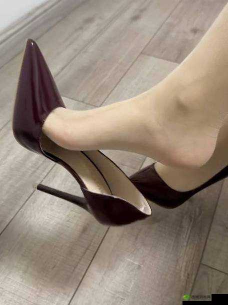 HIGHheelsⅩⅩⅩHD:时尚高跟鞋的极致诱惑:探索高跟鞋的魅力与艺术