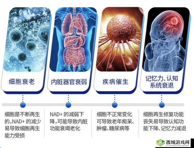 全球首例:三叶草私人研究所成功解析衰老基因:长生不老有望?
