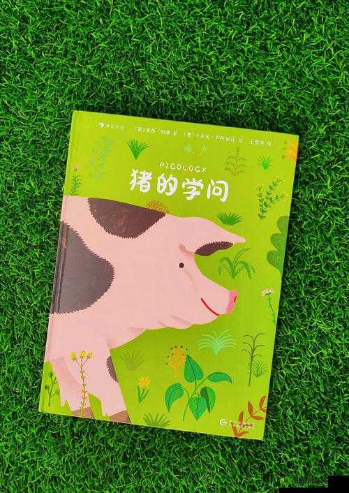 ZoomkooL 大全猪之趣味探索与精彩呈现