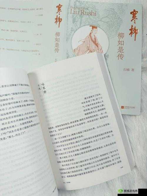 麻花传 MD0174 董小宛:一段鲜为人知的传奇故事