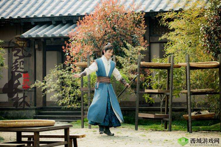 琅琊榜风起长林视角调整技巧,怎么设置好