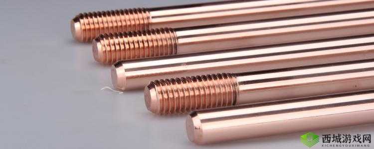 铜铜钢铿锵锵锵锵锵锵人民网:展现独特魅力与深远影响