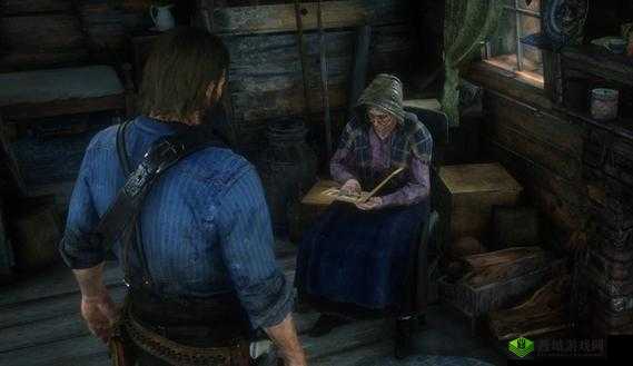 荒野大镖客:50 岁大妈的传奇冒险