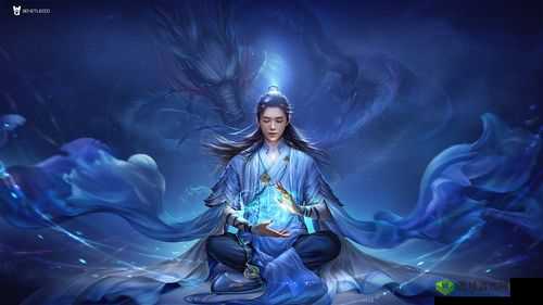 甲级伙伴推荐，择天记手游青曜十三司伙伴攻略在资源管理中的重要性及高效使用策略