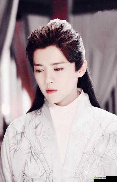 国教学院来了位帅哥，择天记手游鹿晗带你一起玩在资源管理中的重要性及策略