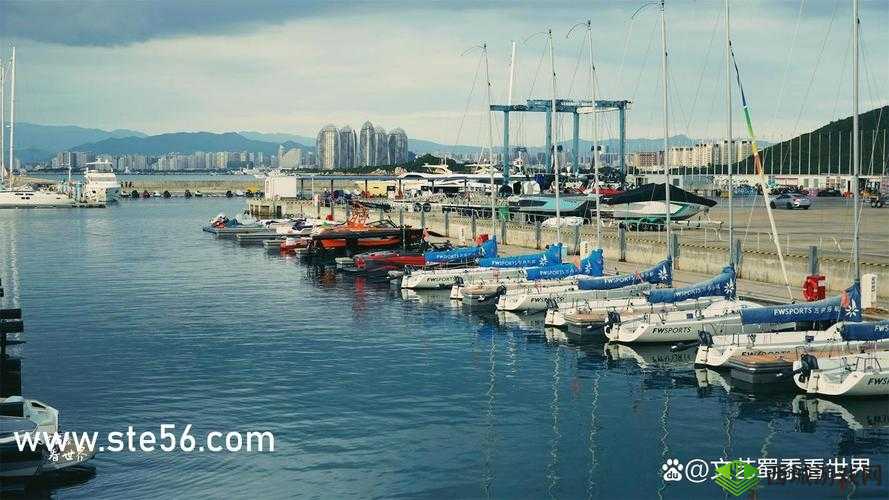 汤姆温馨提示 30 秒中转:你需要知道的安全指南