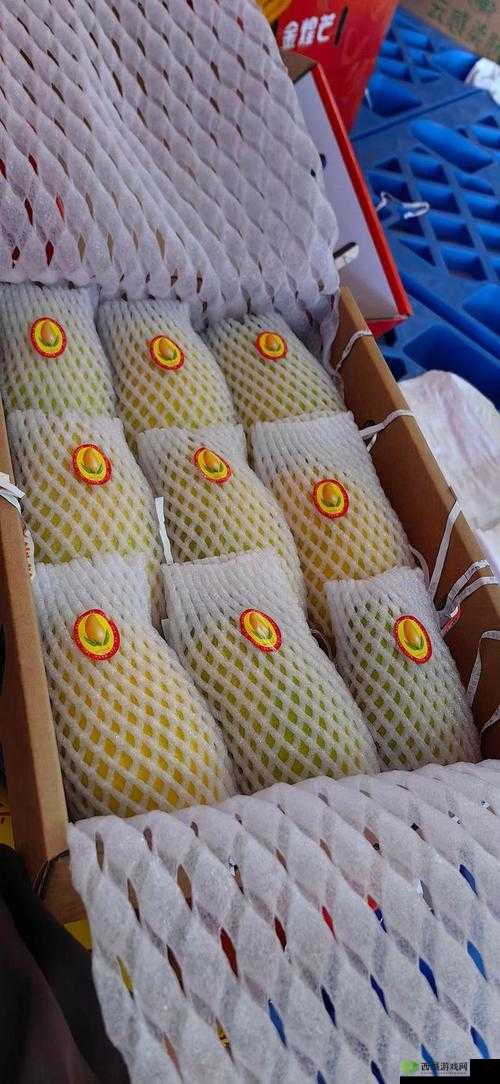 国产四线区芒果:探寻其独特魅力与广阔市场前景