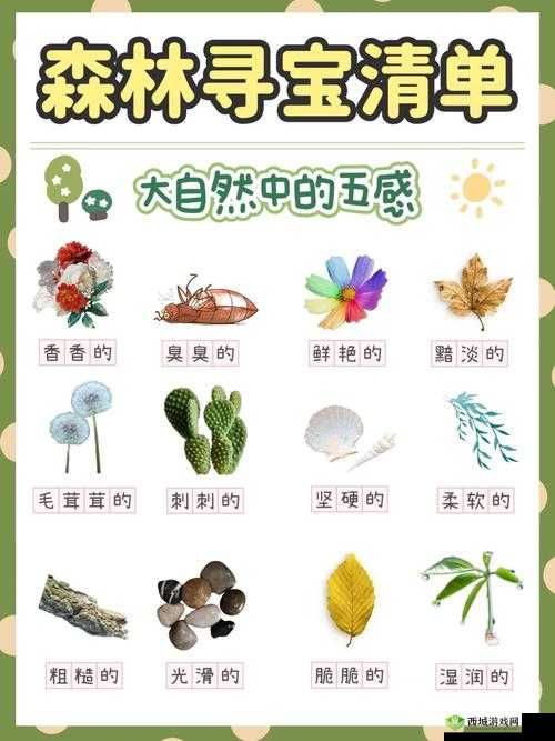 边境之旅松果位置一览,在萤火虫森林的寻宝指南