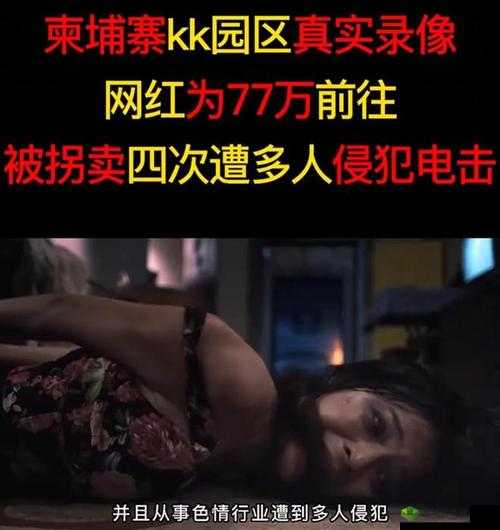 缅甸北部血腥网站免费进入:揭秘其背后的罪恶与危害