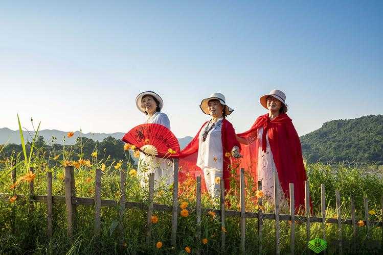 畅享免费完整国语的精彩之旅:gogogo 免费完整国语等你来