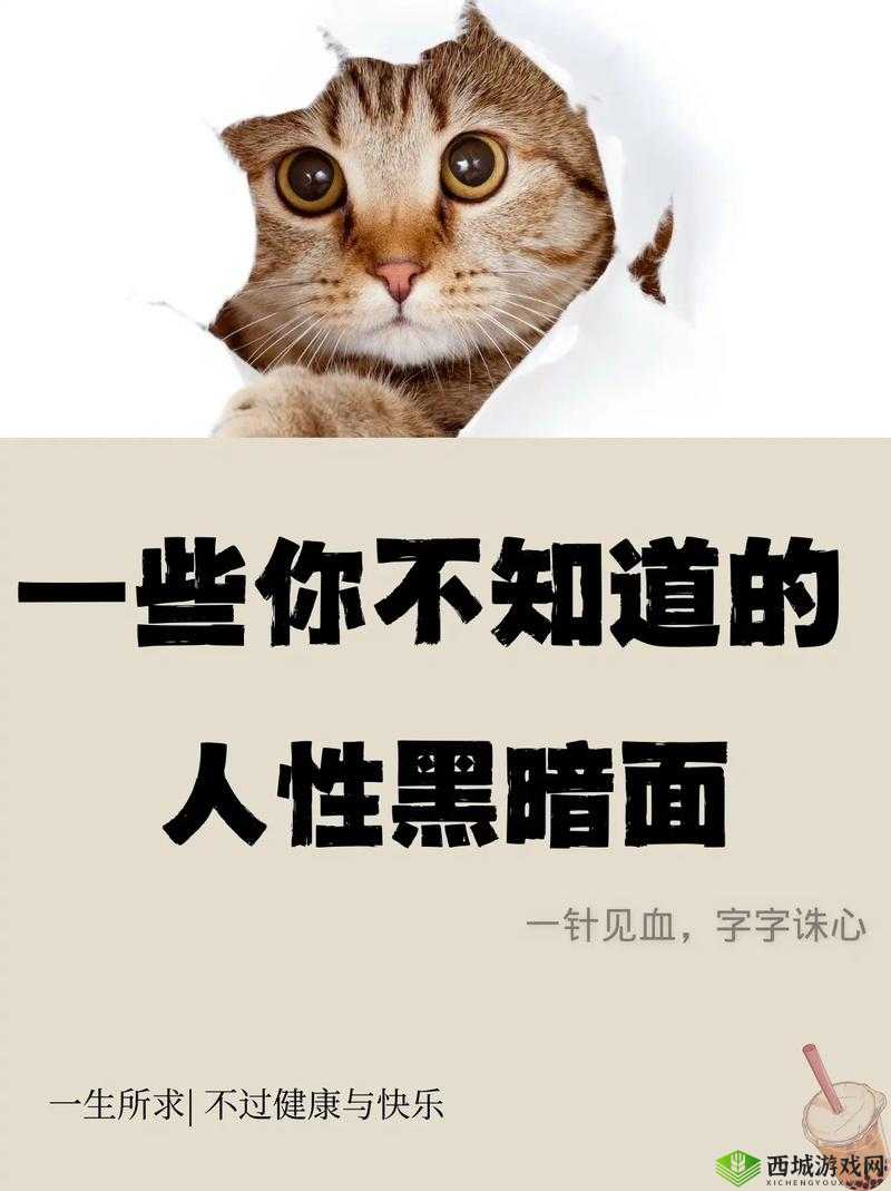 17cc 网黑料爆料一区二区三区:揭示网络世界的黑暗面