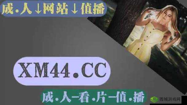 搞机 TIME 恶心网:深入探索搞机世界的独特视角