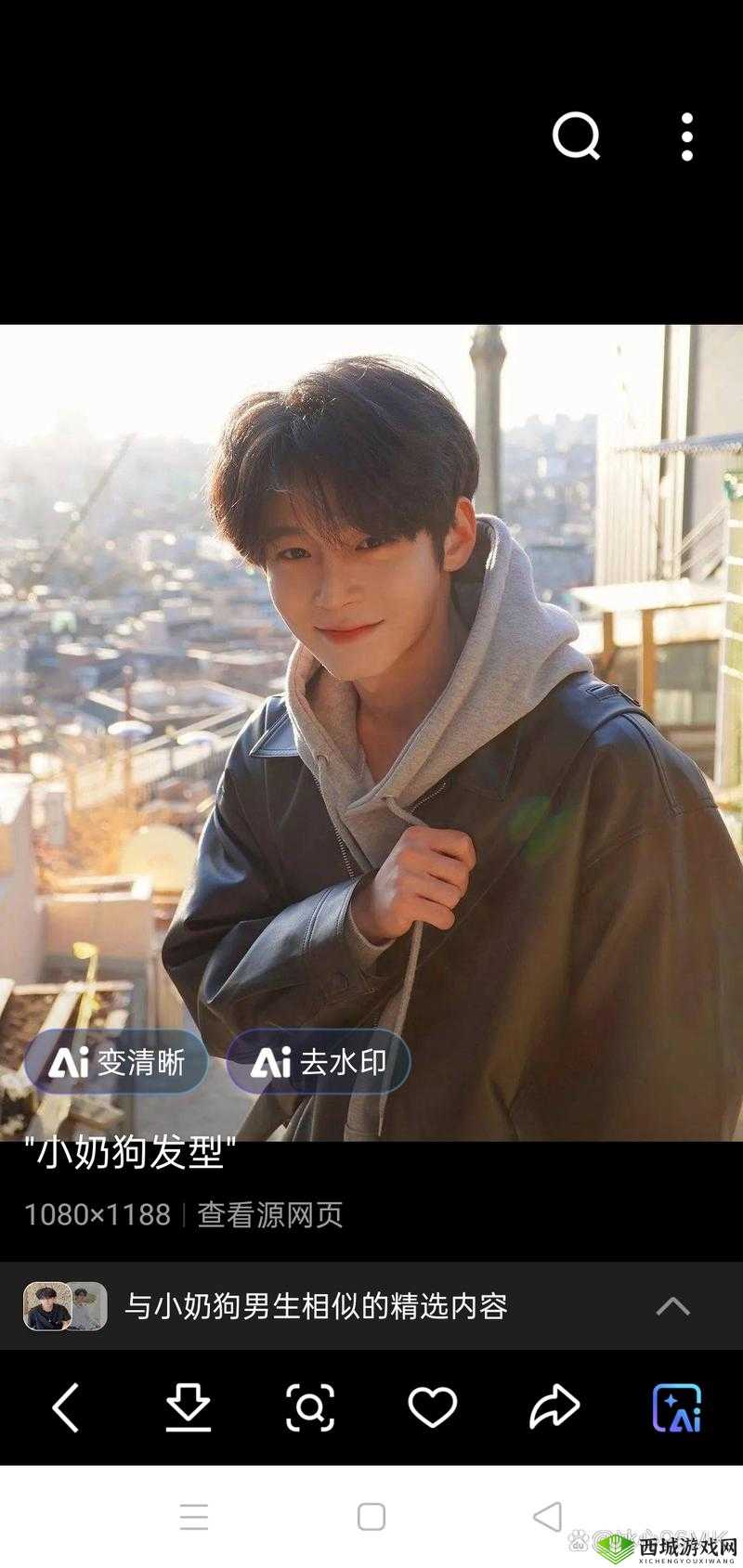 小奶狗 1V2:两只大狼狗为何不敌一只小奶狗