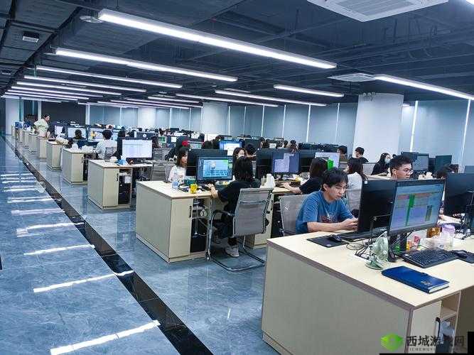 深圳蜜桃网络科技有限公司:专注于软件开发与应用