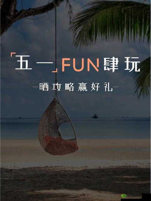 51fun 怎么打开:探索其正确的开启方式与步骤