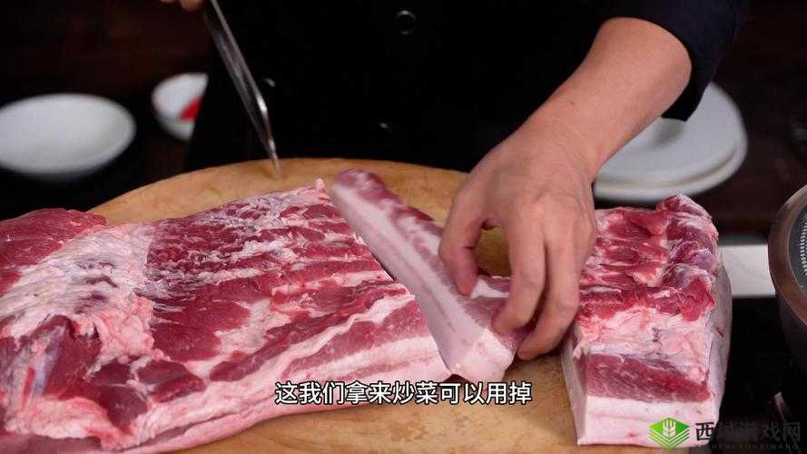 付先生 1VLH 一块五花肉:背后的独特故事与奇妙经历