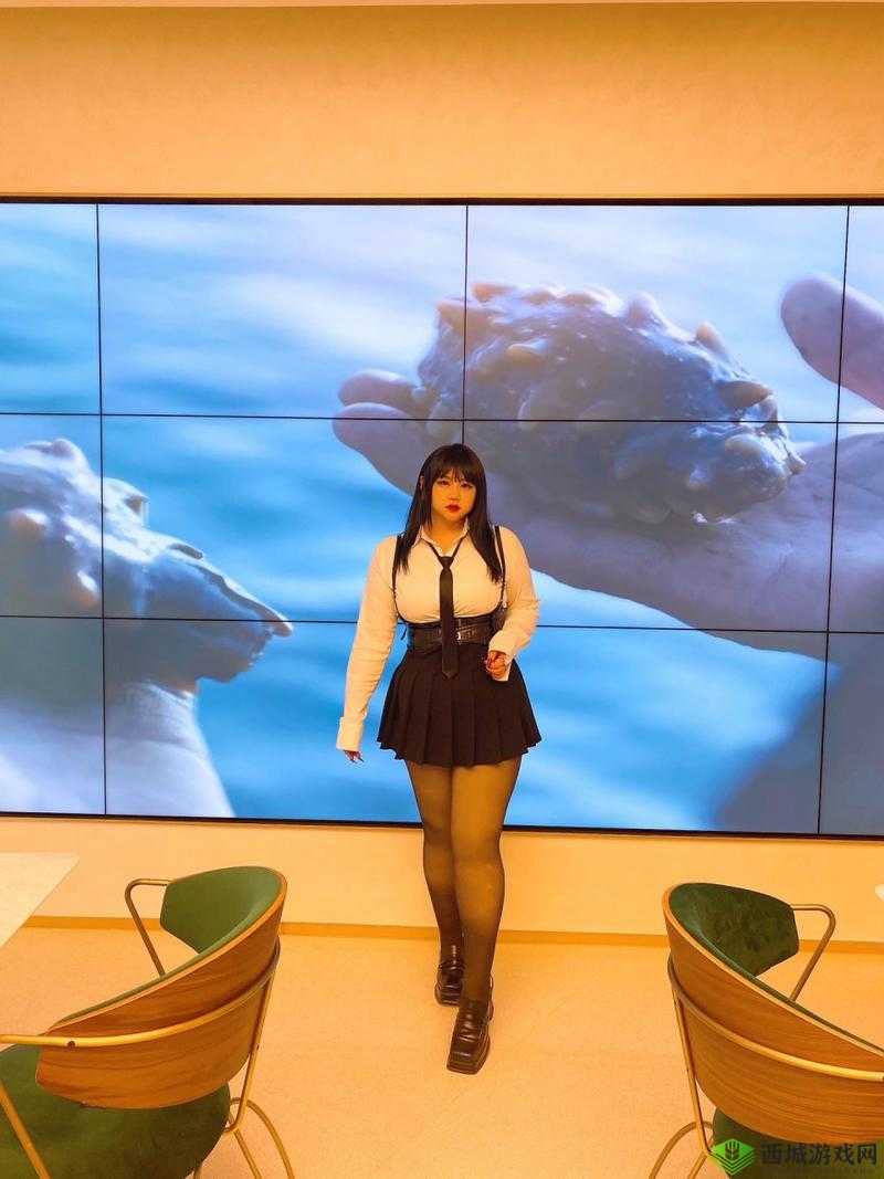 大肥波 BBWWHBBWW 之神奇冒险旅程开启啦