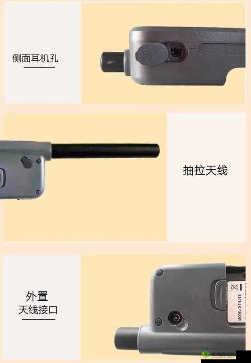 国产无人区码卡功能齐全:畅游虚拟世界的必备神器