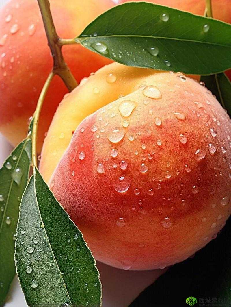 x7x7x7x7 任意噪水蜜桃:美味多汁让人欲罢不能的水果