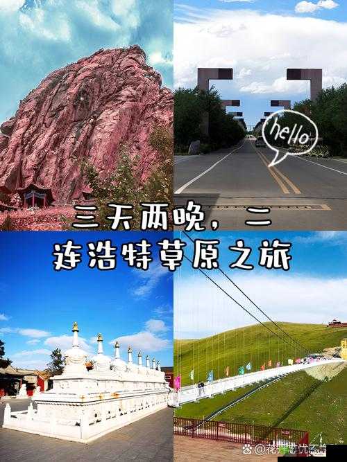 边境之旅，草原花位置揭秘，探寻繁花似锦的秘境