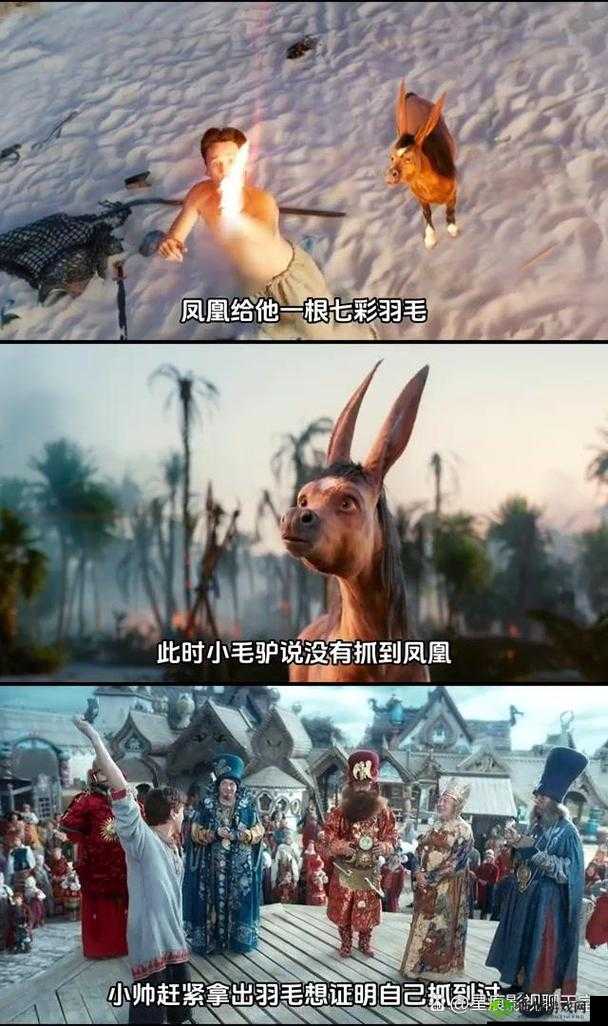 小毛驴影视在线观看:提供海量精彩影视资源任你欣赏