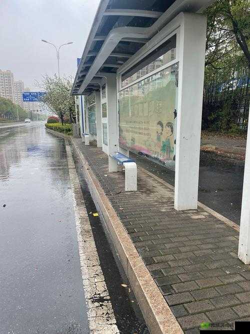 下雨天公交车站:乘客的避风港与等待之地