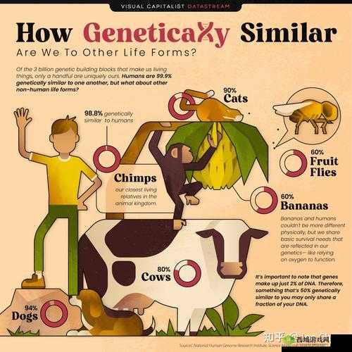 日本人与欧洲人 DNA 相似度之探究分析