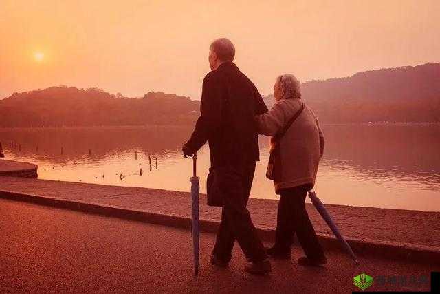 中国老年人老太 dadyTV：跨越年龄的爱与关怀