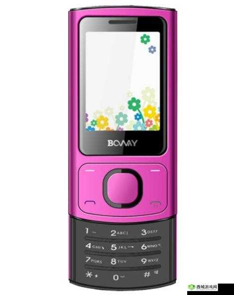 成色好的 S31 标准版：性能卓越的高品质手机之选