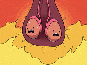 蛋蛋立了长什么样子呢:众人好奇的探寻之旅