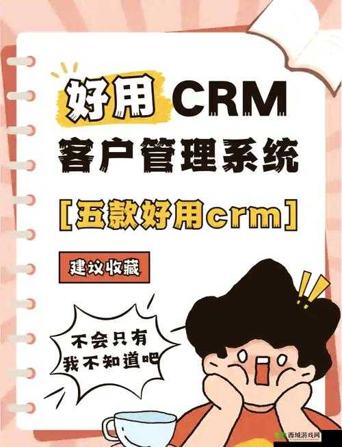 成免费 CRM 特色学生版:功能强大助力学生高效管理