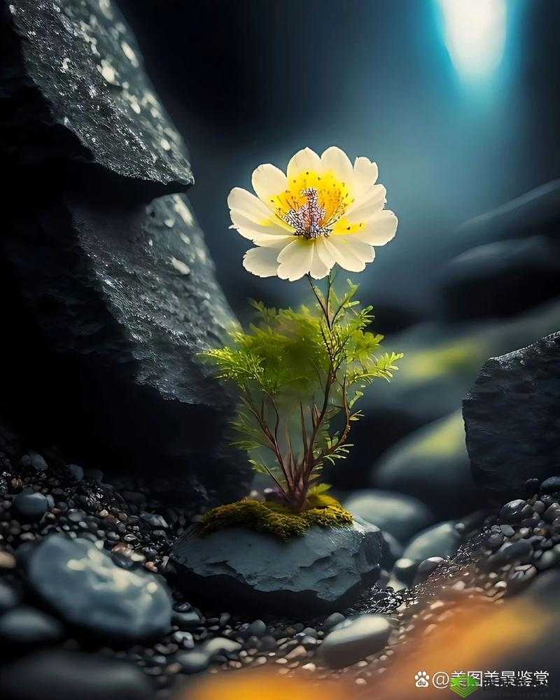 浇灌母亲肥沃土地,滋养生命之花绽放