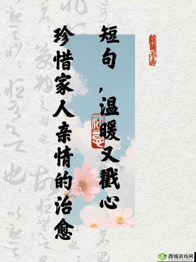 爱爱爱xxx:用真心传递无尽的爱与温暖的力量