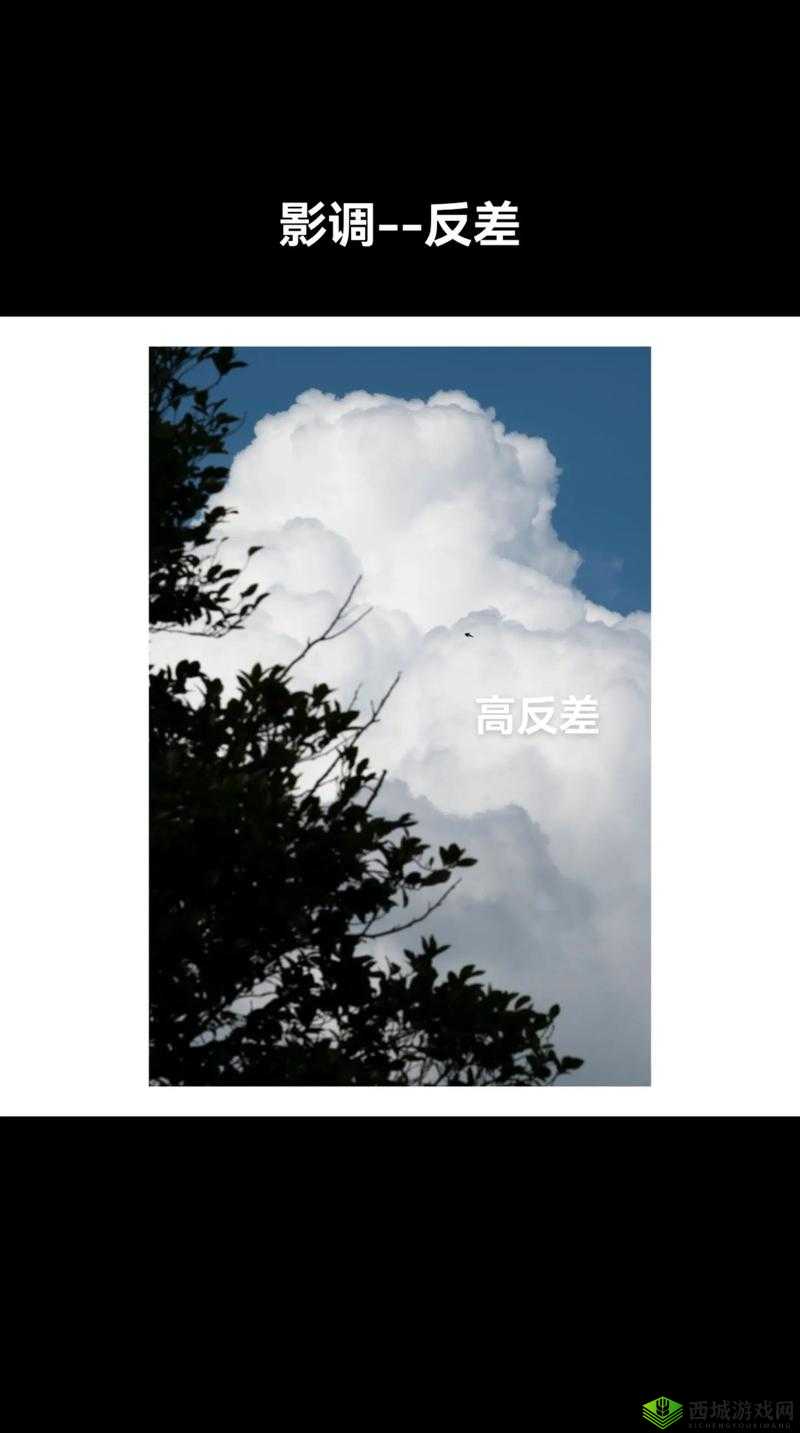 17 世纪反差婊的独特魅力与反差表现