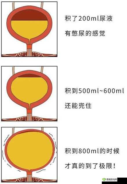 WRITEAS憋着尿按压肚子可能会对身体造成不良影响需注意