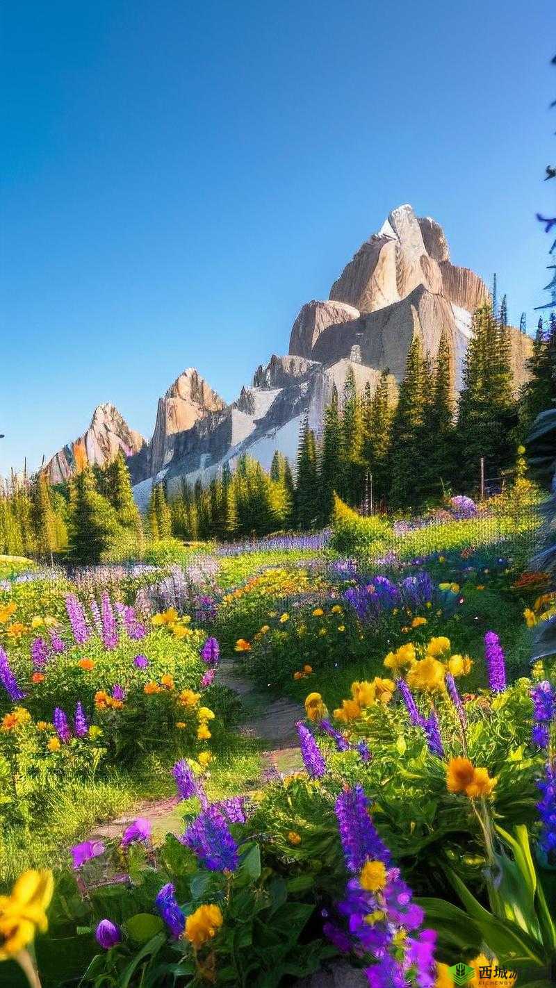 仙踪林网站欢迎您免费进入林,一起探索神秘的森林世界