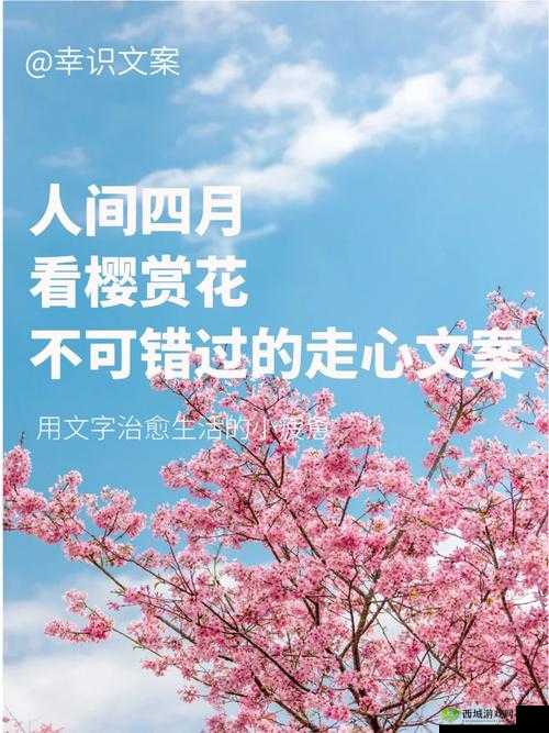 用我的手指拨动你的心弦樱花公布免费开放时段:快来赏樱勿错过