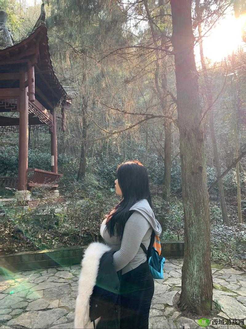 巨大 BBwSSSVTSss:探索其独特魅力与内涵